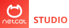 Logo Netcat Studio