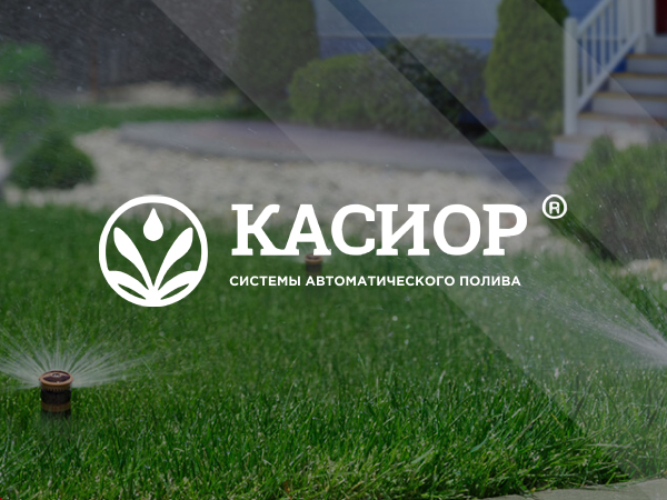 Портфолио Касиор
